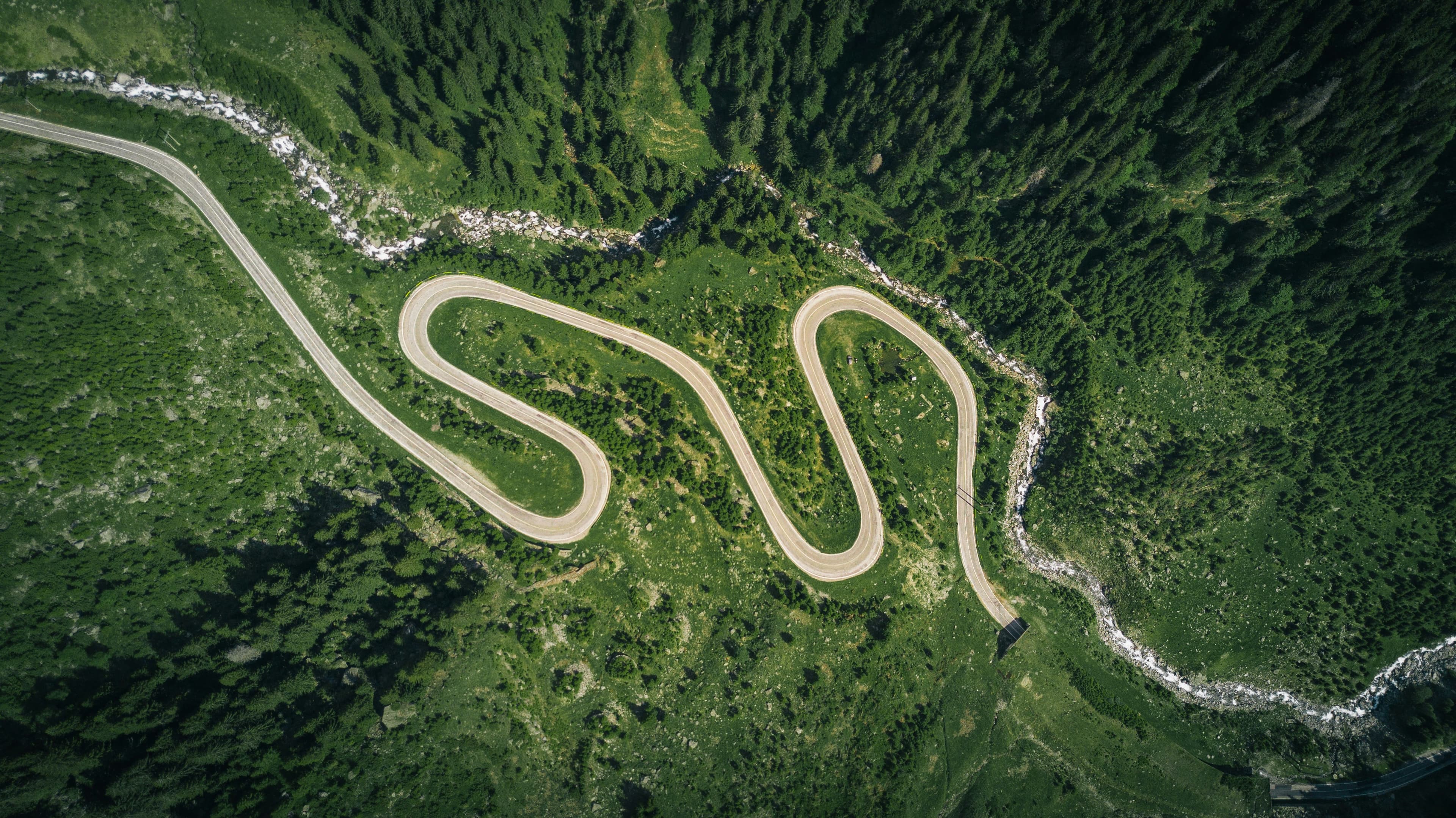 Sustainability roadmap - winding path through forest