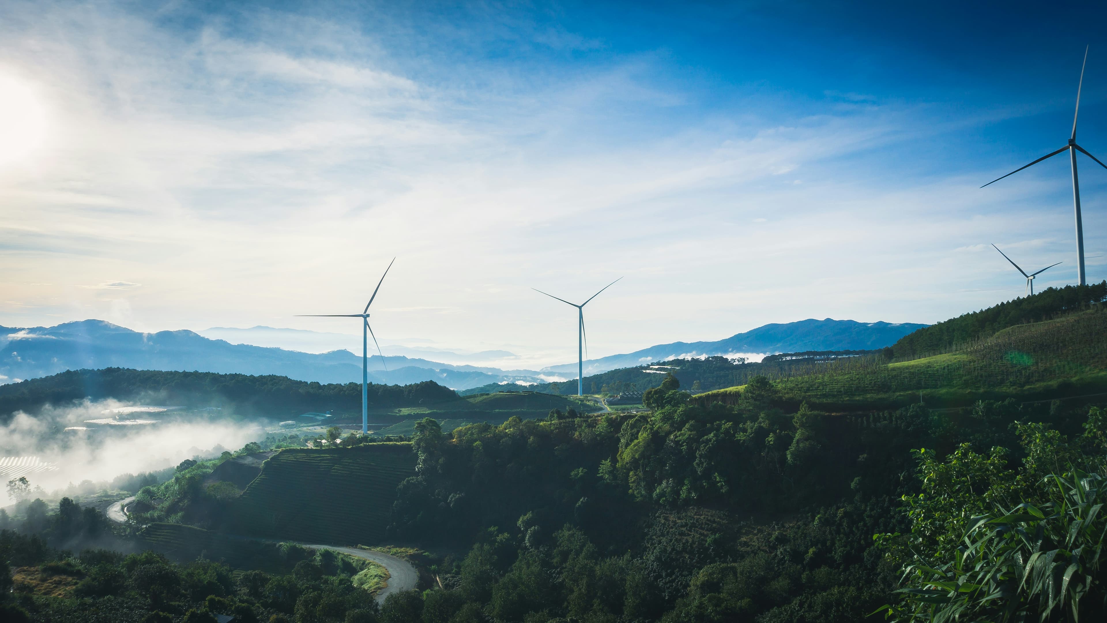 Climate strategy and decarbonization